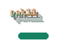 pak11 logo